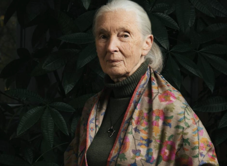 Dr. Jane Goodall
